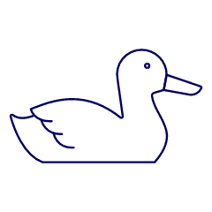 Goose Swimmimg Illustration from UX Line Set