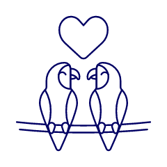 Love Parrots Illustration from UX Line Set