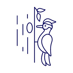 Woodpecker Illustration from UX Line Set