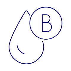 Blood Type B Illustration from UX Line Set