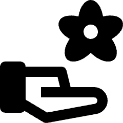 Bodycare Spa Flower Icon from Nova Solid Set