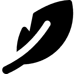 Lightweight Product Icon from Core Solid Set