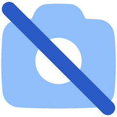 Camera Disabled Icon from Plump Flat Set