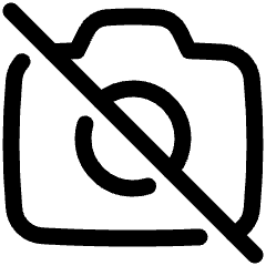 Camera Disabled Icon from Plump Line Set