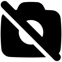 Camera Disabled Icon from Plump Solid Set