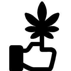 Cannabis 1 Icon from Ultimate Bold Set