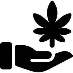 Cannabis Legalization 2 Icon from Ultimate Bold Set