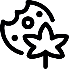 Cannabis Cookies Icon from Ultimate Regular Set