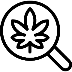 Cannabis Search Icon from Ultimate Light Set