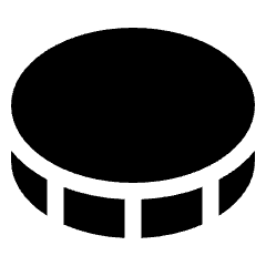 Coin Horizontal Icon from Plump Solid Set