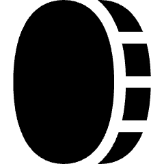 Coin Vertical Icon from Flex Solid Set