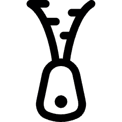 Zipper Icon from Ultimate Regular Set