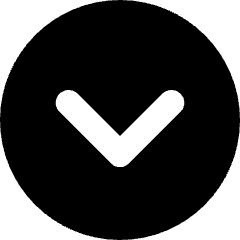 Tailless Line Arrow Down Circle Icon from Core Solid Set