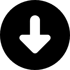 Triangle Arrow Down Circle 1 Icon from Core Solid Set