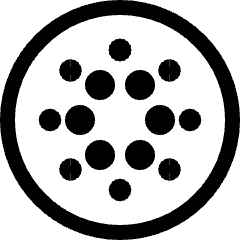 Virtual Coin Crypto Cardano Icon from Ultimate Regular Set