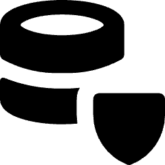 Database Shield Icon from Micro Solid Set