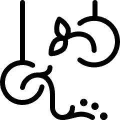 Decoration Hanging Flowers Icon from Ultimate Light Set