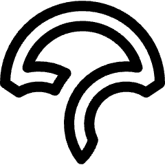 Codecov Logo Icon from Ultimate Regular Set