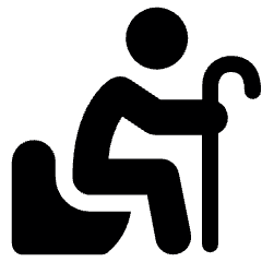 Disability Toilet Icon from Ultimate Bold Set