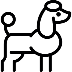 Dog Poodle Icon from Ultimate Light Set