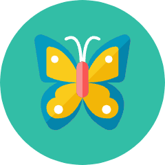 Butterfly Icon from Kameleon Colors Set