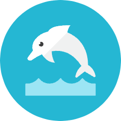 Dolphin Icon from Kameleon Colors Set