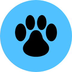 Footprint Icon from Kameleon Pop Set
