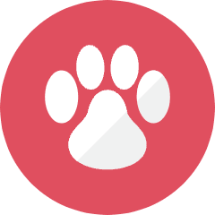 Footprint Icon from Kameleon Colors Set