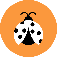 Ladybug Icon from Kameleon Pop Set