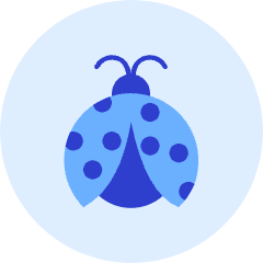 Ladybug Icon from Kameleon Duo Set