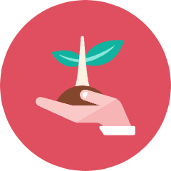 Sprout Icon from Kameleon Colors Set