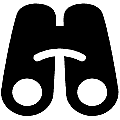 Binoculars Icon from Plump Solid Set