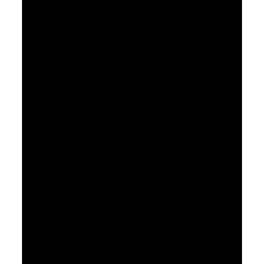 Portrait Setting Icon from Sharp Solid Set