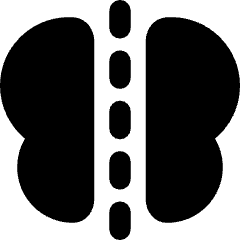 Symmetry Mirror Icon from Core Solid Set