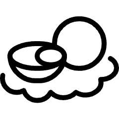 Exotic Food Passion Fruit Icon from Ultimate Light Set