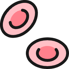 Pregnancy Eggs Icon from Ultimate Colors Set