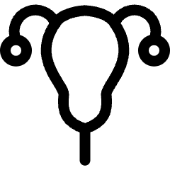 Pregnancy Ovary Icon from Ultimate Regular Set