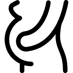 Pregnancy Pregnant Icon from Ultimate Regular Set