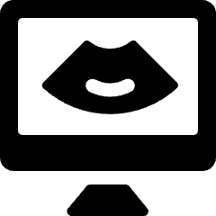 Pregnancy Ultrasound Icon from Ultimate Bold Set