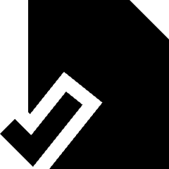 File Check Alternate Icon from Sharp Solid Set