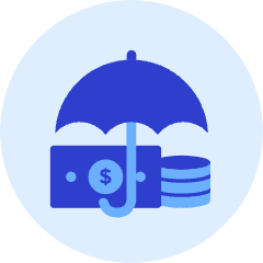 Money Protect Icon from Kameleon Duo Set