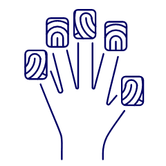 Fringerprints Hand 1 Illustration from UX Line Set