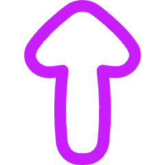 Thick Arrow Up Icon from Flex Neon Set