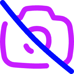 Camera Disabled Icon from Flex Neon Set