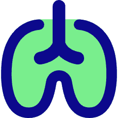 Lungs Icon from Flex Pop Set