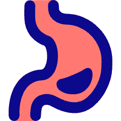 Stomach Icon from Flex Pop Set