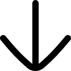 Line Arrow Down Large 1 Icon from Flex Remix Set