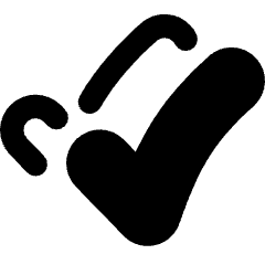 Check Double Thick Icon from Flex Remix Set