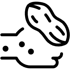 Food Allegic Peanut 4 Icon from Ultimate Light Set