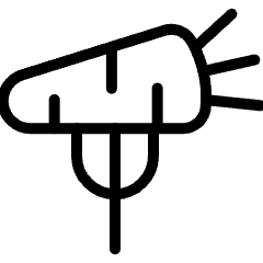 Food Allegic Vegan Meal 2 Icon from Ultimate Light Set